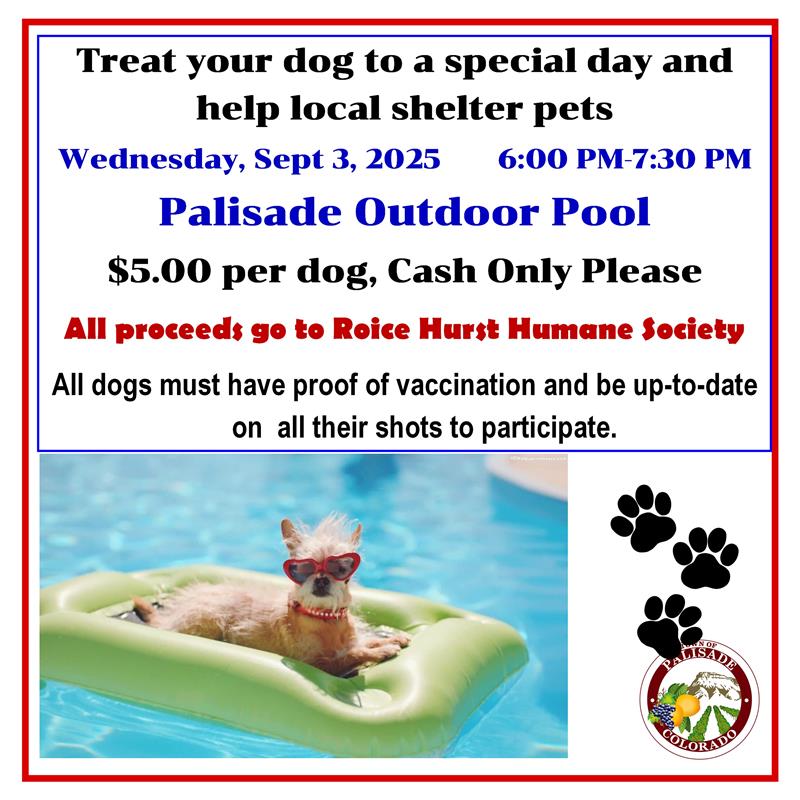 2025 - PALISADE POOL DOG DAY