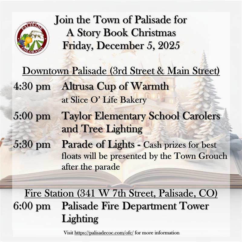 2025 - STORY BOOK CHRISTMAS