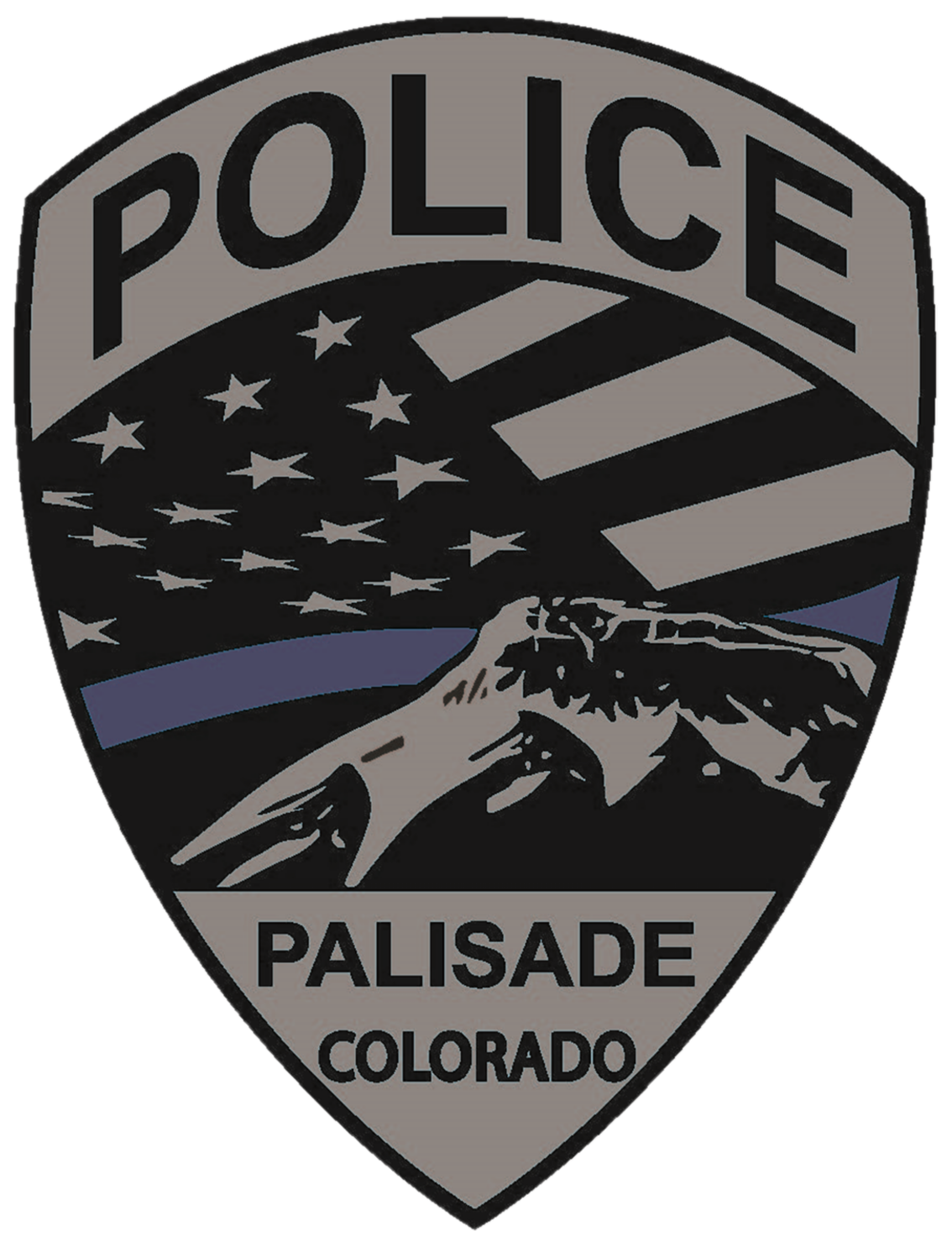 Town of Palisade PD_Patch